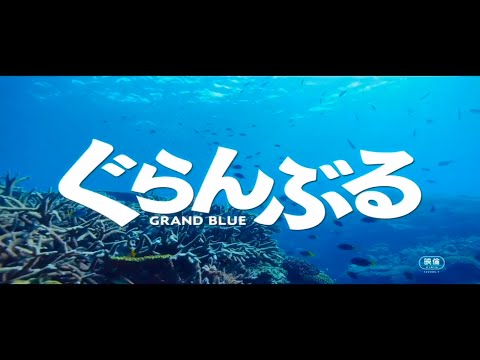 [ TRAILER ] GRAND BLUE LIVE ACTION 2020 !!!!