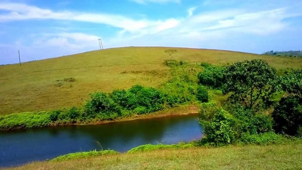 Vagamon Famous Malayalam Shooting Location