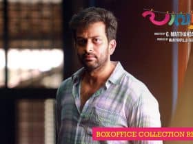 paavada-boxoffice-collection-report