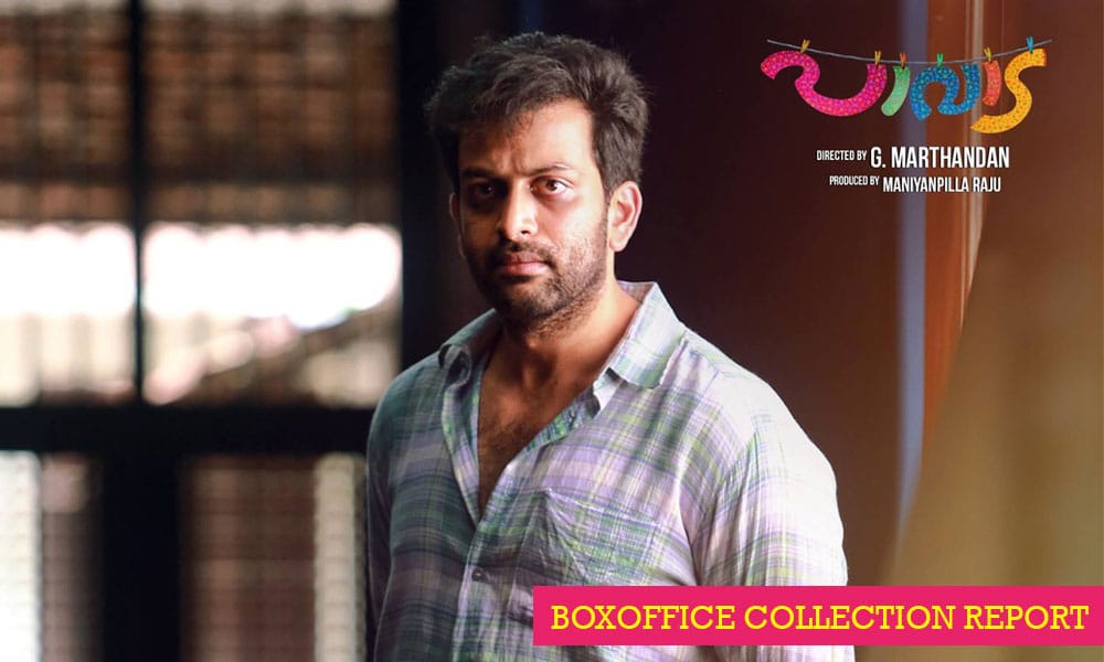 paavada-boxoffice-collection-report