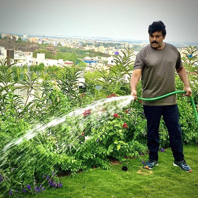 Chiranjeevi farm house