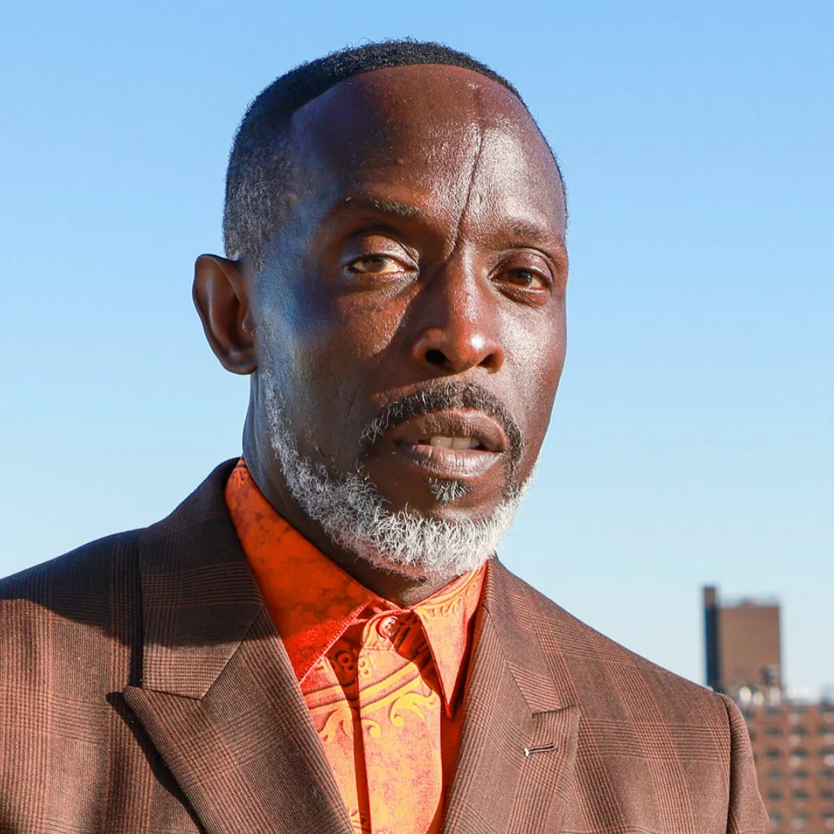 Sudden Loss Of Michael K. Williams