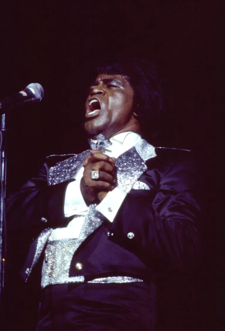 Meet Late James Brown 9 Children: All About The Late American musician ...