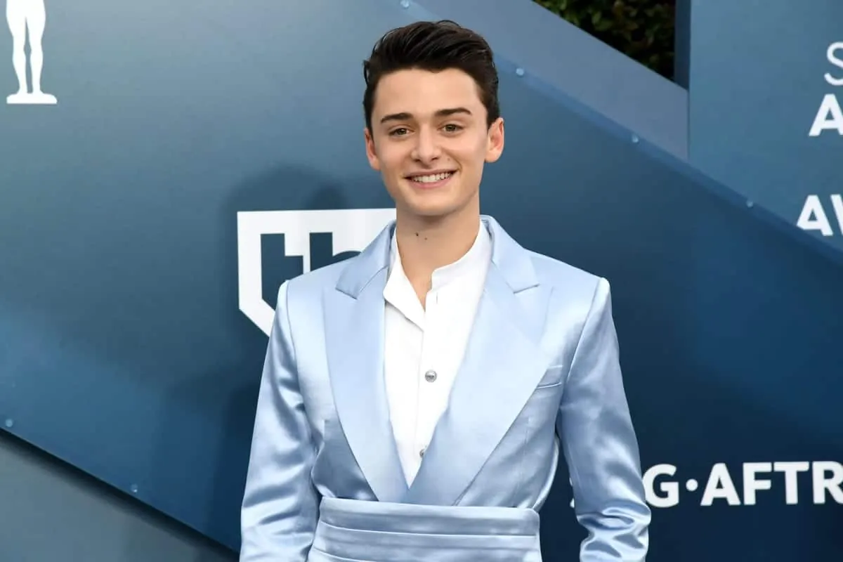 Who Is Noah Schnapp?