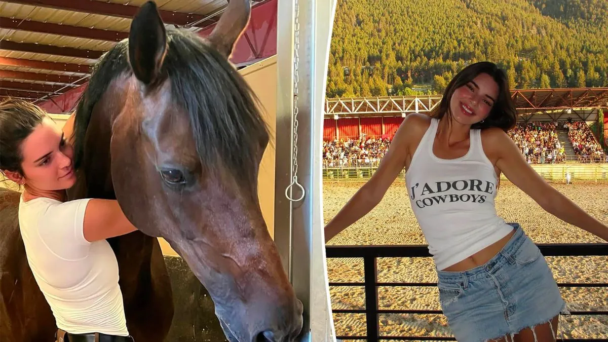 kendall jenner horse is pregnant,