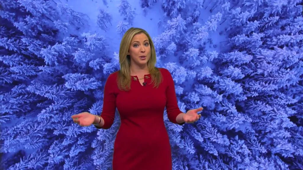 Is “Meteorologist” Pamela Gardner Pregnant? Debunking Pregnancy Rumors!