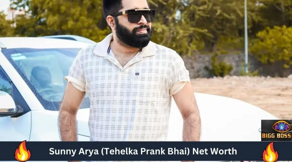 Sunny Arya (Tehelka Prank Bhai) Net Worth
